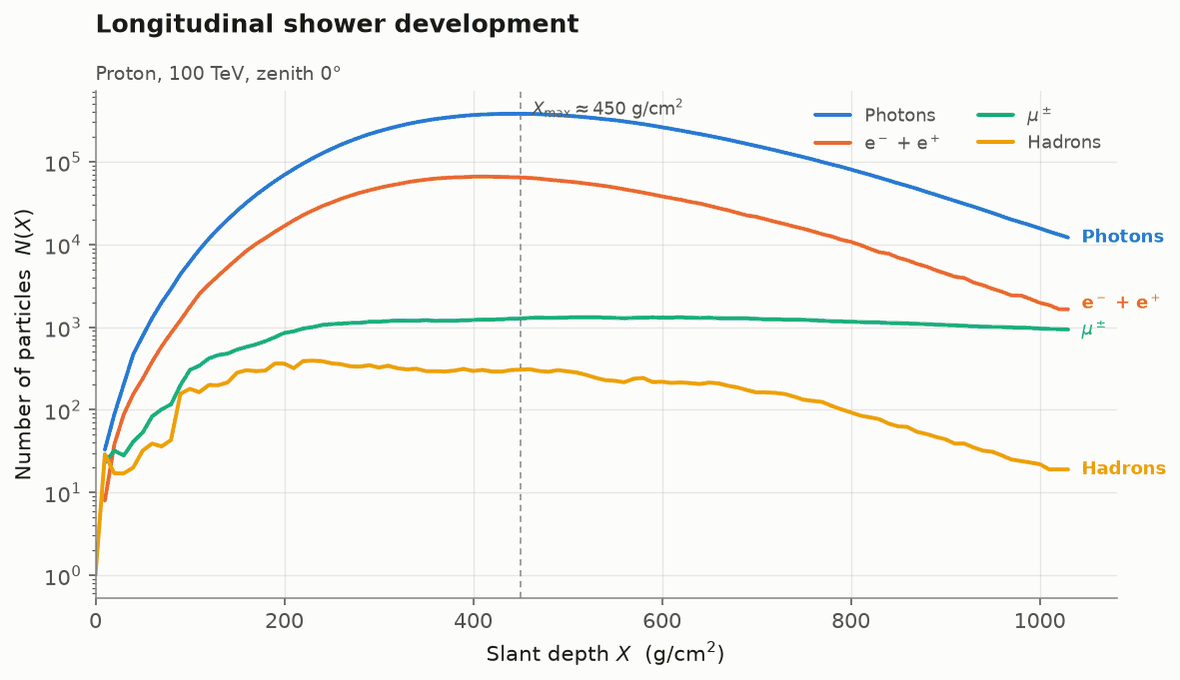 スラント深さに対する粒子数のグラフ。光子が最も多く、次が電子・陽電子。ミューオンはほぼ平ら。300〜500 g/cm2 付近に山がある。